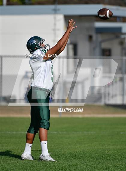 Thumbnail 1 in Schurr @ Alhambra photogallery.