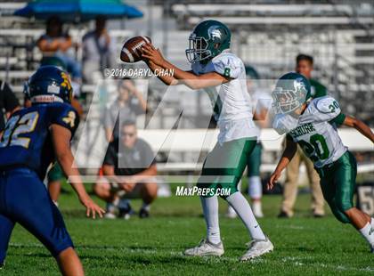 Thumbnail 2 in Schurr @ Alhambra photogallery.