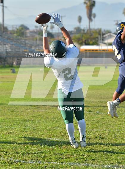 Thumbnail 1 in Schurr @ Alhambra photogallery.