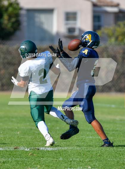 Thumbnail 1 in Schurr @ Alhambra photogallery.