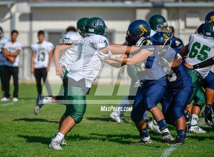 Thumbnail 1 in Schurr @ Alhambra photogallery.