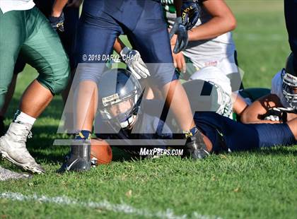 Thumbnail 2 in Schurr @ Alhambra photogallery.