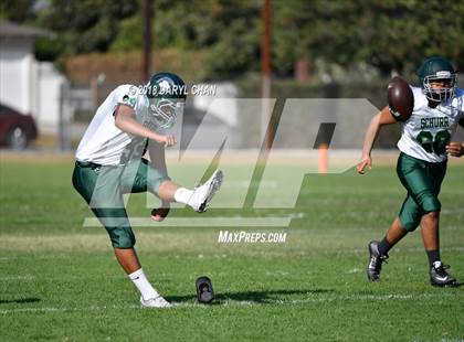 Thumbnail 2 in Schurr @ Alhambra photogallery.
