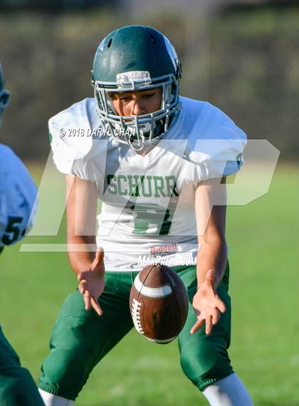 Thumbnail 2 in Schurr @ Alhambra photogallery.
