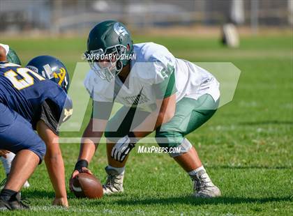 Thumbnail 1 in Schurr @ Alhambra photogallery.