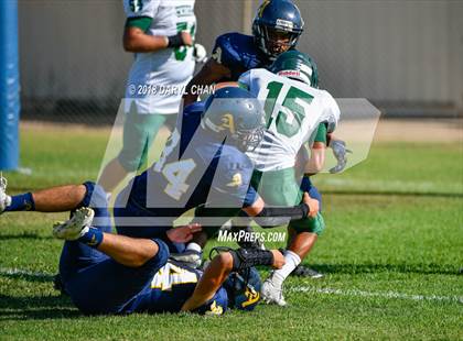 Thumbnail 3 in Schurr @ Alhambra photogallery.