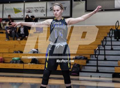 Thumbnail 3 in Lassen vs Trinity  photogallery.