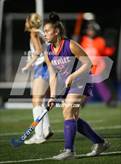 Photo from the gallery "Danville @ Selinsgrove"