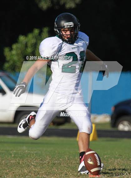 Thumbnail 2 in Weeki Wachee @ Springstead photogallery.