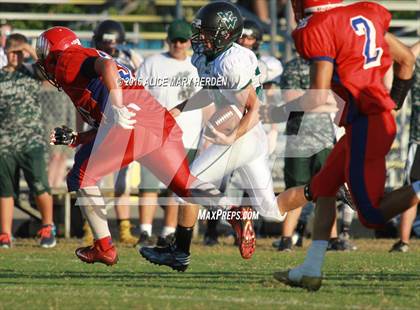 Thumbnail 2 in Weeki Wachee @ Springstead photogallery.