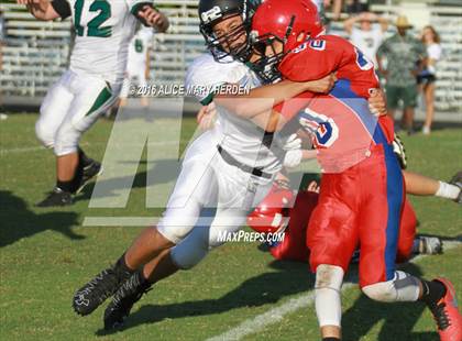 Thumbnail 2 in Weeki Wachee @ Springstead photogallery.