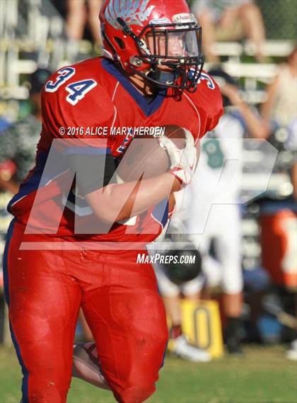 Thumbnail 1 in Weeki Wachee @ Springstead photogallery.