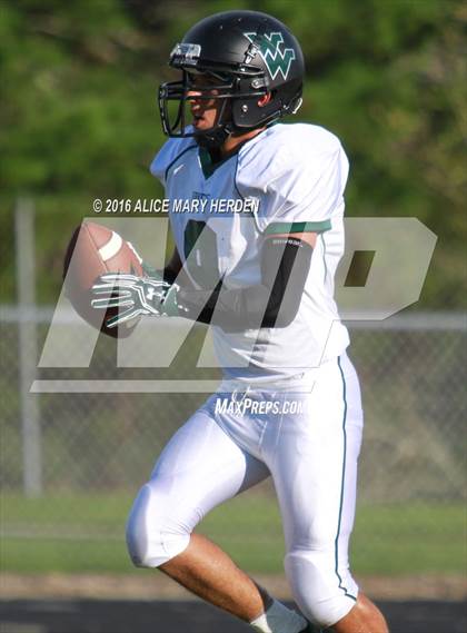 Thumbnail 2 in Weeki Wachee @ Springstead photogallery.