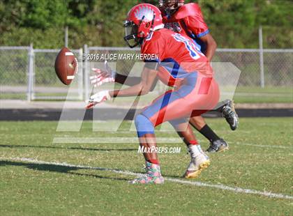 Thumbnail 3 in Weeki Wachee @ Springstead photogallery.