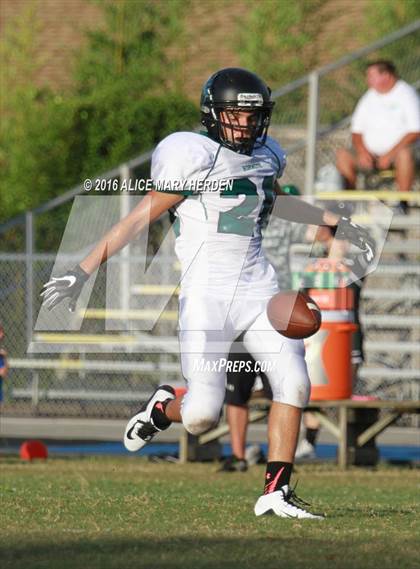 Thumbnail 3 in Weeki Wachee @ Springstead photogallery.