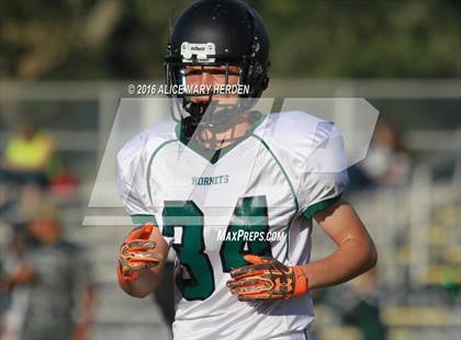 Thumbnail 2 in Weeki Wachee @ Springstead photogallery.