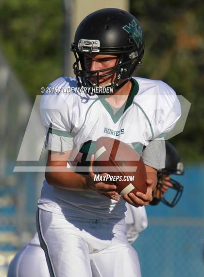 Thumbnail 1 in Weeki Wachee @ Springstead photogallery.