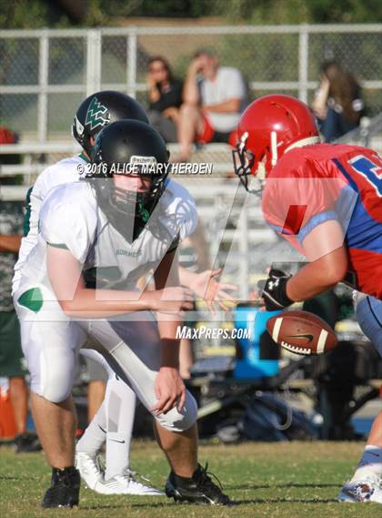 Thumbnail 1 in Weeki Wachee @ Springstead photogallery.