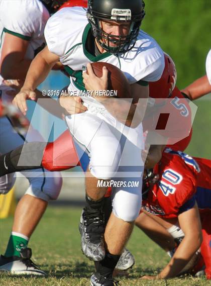 Thumbnail 1 in Weeki Wachee @ Springstead photogallery.