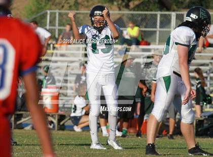 Thumbnail 3 in Weeki Wachee @ Springstead photogallery.