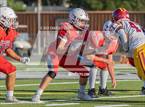 Photo from the gallery "Cardinal Newman @ Montgomery"