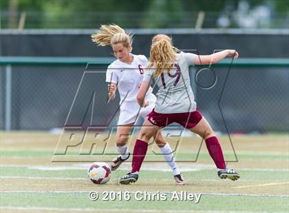 Thumbnail 2 in Dobyns-Bennett @ Morristown-Hamblen West (Scrimmage) photogallery.