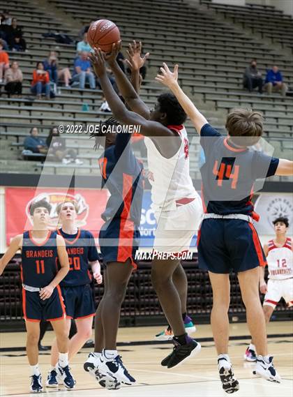 Thumbnail 2 in Lee Vs Brandeis photogallery.