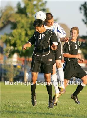 null - Photo 11
