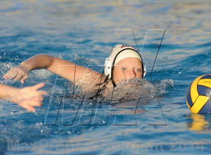 Thumbnail 3 in Ayala @ Chino Hills photogallery.