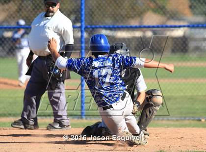 Thumbnail 2 in California vs. Los Altos photogallery.