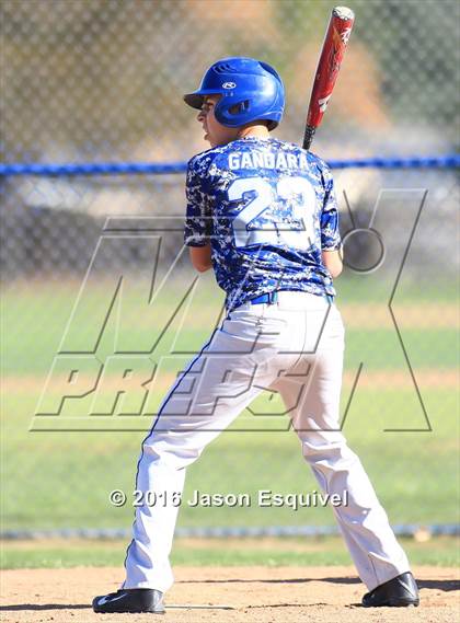 Thumbnail 3 in California vs. Los Altos photogallery.