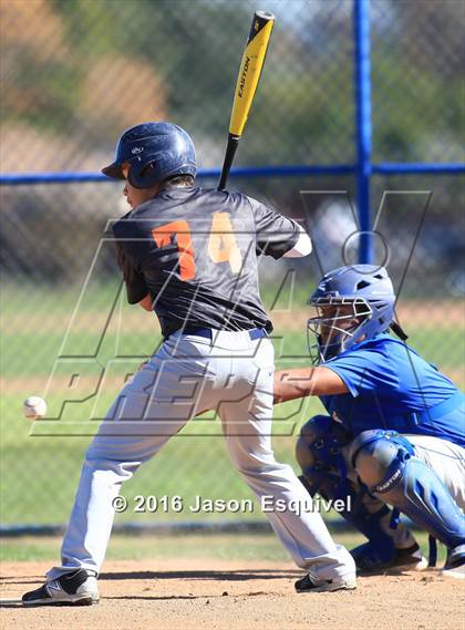 Thumbnail 3 in California vs. Los Altos photogallery.