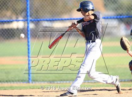Thumbnail 2 in California vs. Los Altos photogallery.