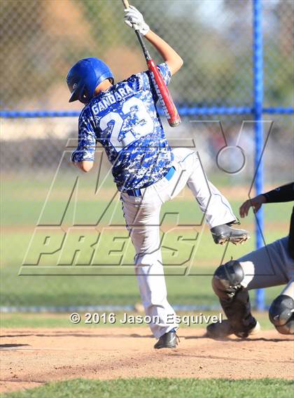 Thumbnail 1 in California vs. Los Altos photogallery.