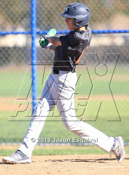 Thumbnail 1 in California vs. Los Altos photogallery.