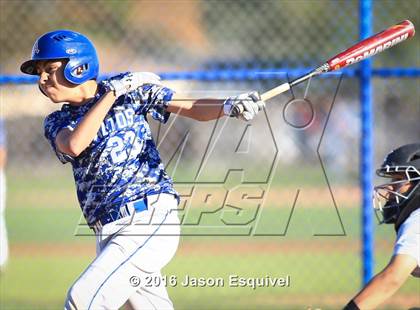 Thumbnail 2 in California vs. Los Altos photogallery.