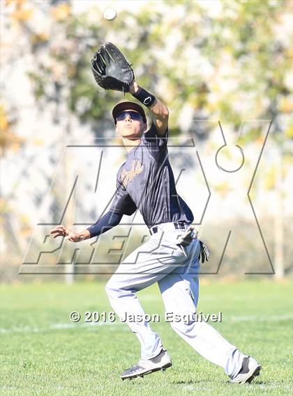 Thumbnail 1 in California vs. Los Altos photogallery.
