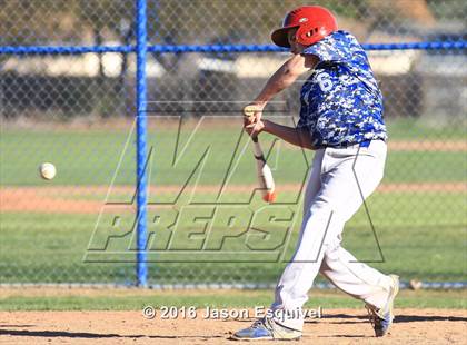 Thumbnail 1 in California vs. Los Altos photogallery.