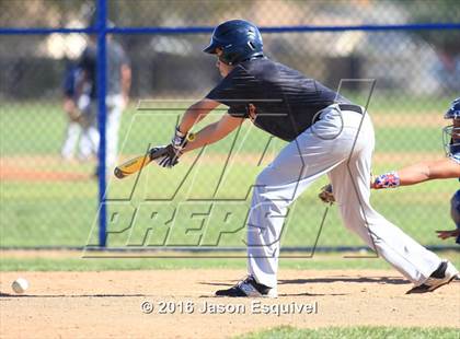Thumbnail 1 in California vs. Los Altos photogallery.