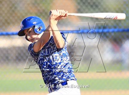 Thumbnail 1 in California vs. Los Altos photogallery.