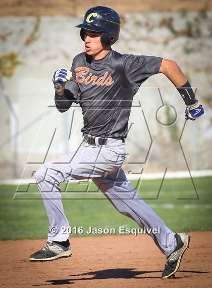 Thumbnail 1 in California vs. Los Altos photogallery.