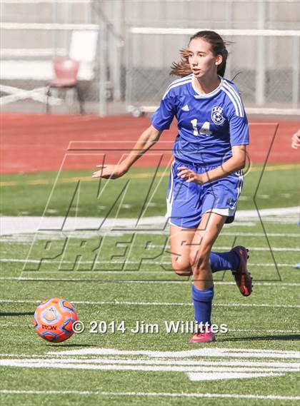 Thumbnail 3 in Blue Ridge vs Northland Prep (AIA D4 Final) photogallery.