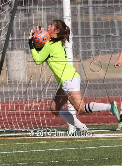 Thumbnail 1 in Blue Ridge vs Northland Prep (AIA D4 Final) photogallery.