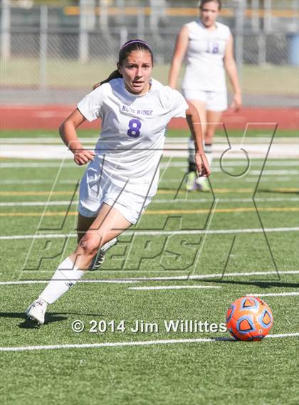 Thumbnail 1 in Blue Ridge vs Northland Prep (AIA D4 Final) photogallery.