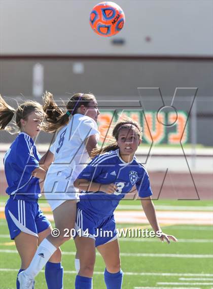 Thumbnail 3 in Blue Ridge vs Northland Prep (AIA D4 Final) photogallery.