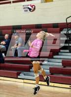 Photo from the gallery "Bingham vs. Lone Peak (5A/6A Volleyball Challenge)"