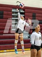 Photo from the gallery "Bingham vs. Lone Peak (5A/6A Volleyball Challenge)"