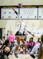 Photo from the gallery "Bingham vs. Lone Peak (5A/6A Volleyball Challenge)"