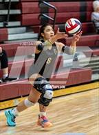 Photo from the gallery "Bingham vs. Lone Peak (5A/6A Volleyball Challenge)"