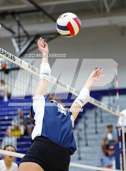 Thumbnail 2 in Pine Creek vs Legacy (CHSAA 5A Region 6 Playoff) photogallery.